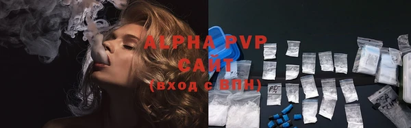 соль ск Надым