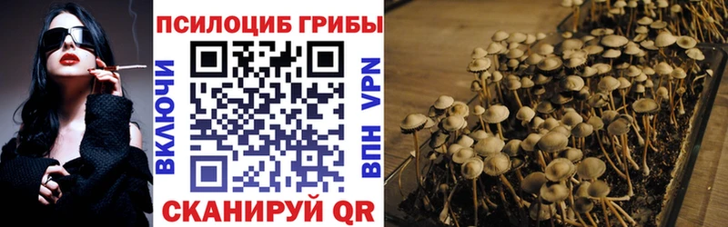 Галлюциногенные грибы Psilocybine cubensis  Купить где  Яблоновский 
